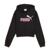 Puma Sudadera Ess 2 Color Logo Hoodie Negro Black Niño