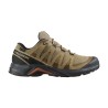 Salomon Zapatillas X-Adventure Recon GTX Marrón Kelp Hombre