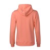 Ternua Sudadera Ailik Hoody Ss W Rosa Desert Flower Mujer