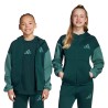 ADIDAS Sudadera Z.N.E. Full Zip Verde Block Hoodie Niño