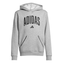 ADIDAS Sudadera Seasonals Essentials Collegiate Typography Hoody Gris Niño
