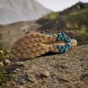 ADIDAS Zapatilla Terrex Trailmaker 2 GTX Marrón Cardboard Grey Five Hombre