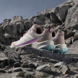ADIDAS Zapatillas Terrex Skychaser AX5 GTX Beige Mujer