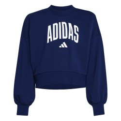 ADIDAS Sudadera Seasonals Essentials Collegiate Typography Crewneck Azul Dark BlueNiño