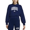 ADIDAS Sudadera Seasonals Essentials Collegiate Typography Crewneck Azul Dark BlueNiño