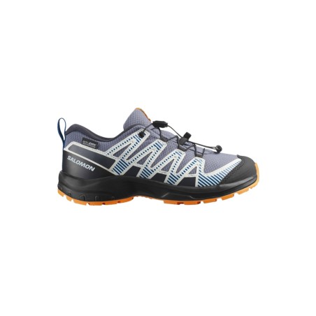 Salomon Zapatillas XA PRO...