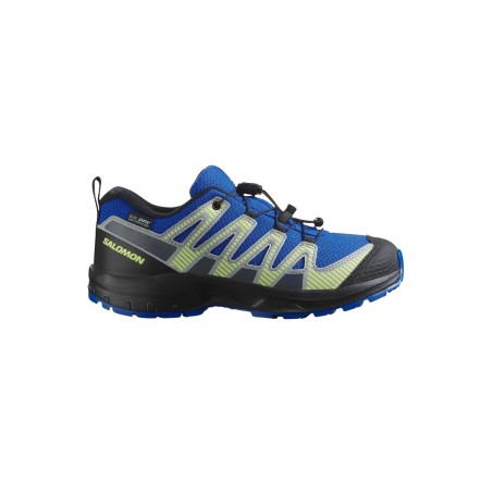 Salomon Zapatillas XA PRO...