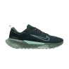 Nike Zapatillas Juniper Trail 2 GTX Seaweed Clay Green Verde Hombre