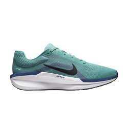 Nike Zapatillas Running Winflo 11 Verde Cannon Sanded Purple Hombre