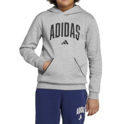 ADIDAS Sudadera Seasonals Essentials Collegiate Typography Hoody Gris Niño