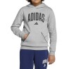ADIDAS Sudadera Seasonals Essentials Collegiate Typography Hoody Gris Niño