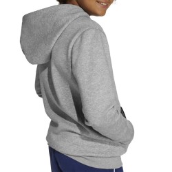 ADIDAS Sudadera Seasonals Essentials Collegiate Typography Hoody Gris Niño