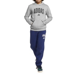 ADIDAS Sudadera Seasonals Essentials Collegiate Typography Hoody Gris Niño