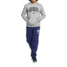 ADIDAS Sudadera Seasonals Essentials Collegiate Typography Hoody Gris Niño