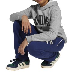ADIDAS Sudadera Seasonals Essentials Collegiate Typography Hoody Gris Niño