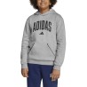 ADIDAS Sudadera Seasonals Essentials Collegiate Typography Hoody Gris Niño