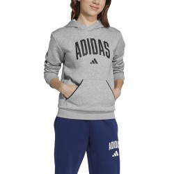 ADIDAS Sudadera Seasonals Essentials Collegiate Typography Hoody Gris Niño