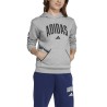 ADIDAS Sudadera Seasonals Essentials Collegiate Typography Hoody Gris Niño