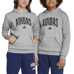 ADIDAS Sudadera Seasonals Essentials Collegiate Typography Hoody Gris Niño