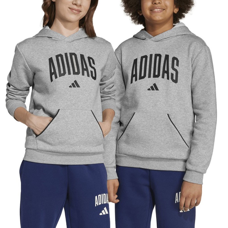 ADIDAS Sudadera Seasonals Essentials Collegiate Typography Hoody Gris Niño