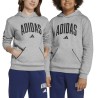 ADIDAS Sudadera Seasonals Essentials Collegiate Typography Hoody Gris Niño