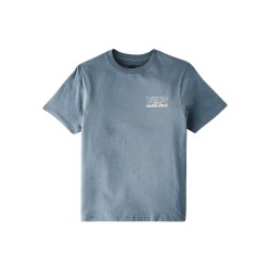 Vans Camiseta Shop Front Gris Verdoso Stormy Weather Niño