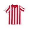 Nike Camiseta fútbol Striped Division 4 Rojo y Blanco Niño