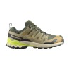 Salomon Zapatilla Trail Running XA Pro 3D V9 GTX Verde Grape Leaf Aloe Hombre