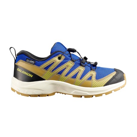 Salomon Zapatilla XA PRO v8...
