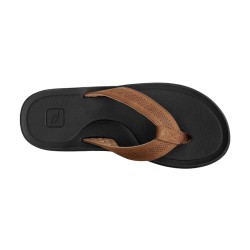 Rip Curl Chancla Chiba Negro Marrón Brown Black Hombre