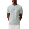Calvin Klein Camiseta Graphics Azul Pale Meadow Hombre