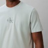 Calvin Klein Camiseta Graphics Azul Pale Meadow Hombre