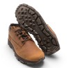 Timberland Zapato Winsor Park GTX Marrón Medium Brown Hombre