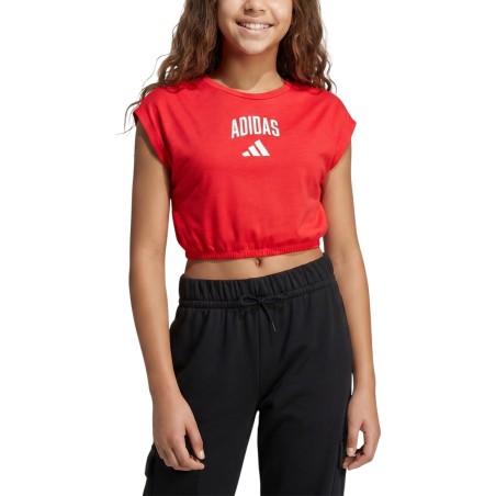ADIDAS Camiseta Seasonals...