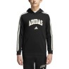 ADIDAS Sudadera Collegiate HD Negro Black Niño