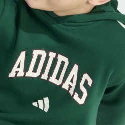 ADIDAS Sudadera Seasonals Collegiate Verde Green Niño