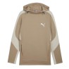 Puma Sudadera Evostripe Hoodie Beige Marrón Hombre