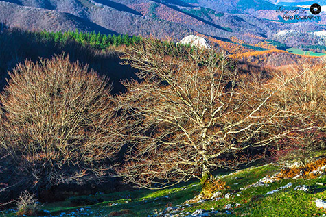 Paisaje Ruta Arántzazu