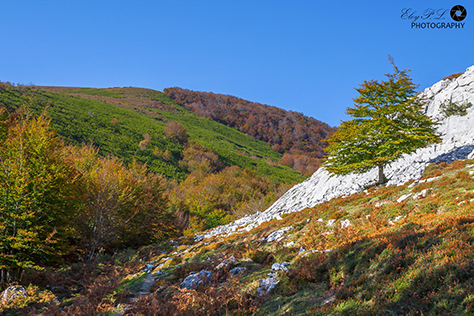 Paisaje Ruta Arántzazu
