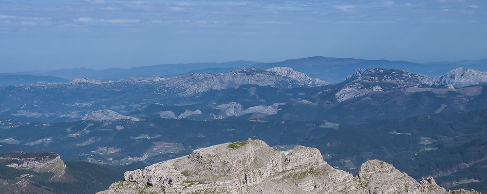 Gorbea